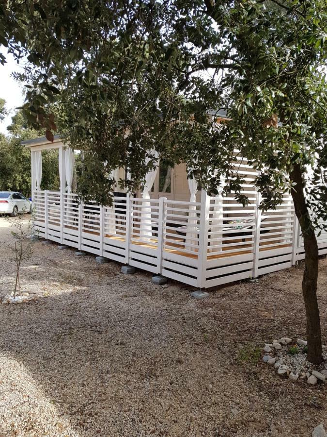Summertime By Pearl Of The Biograd Biograd Na Moru Bagian luar foto